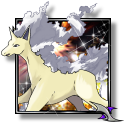 Rapidash_2