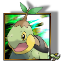 Turtwig