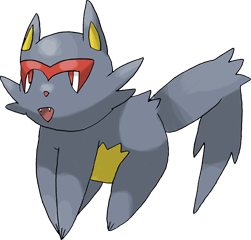 #316 Kittcoon