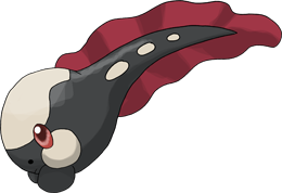 #453 Tadpell