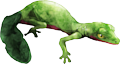 Monster Grassecko